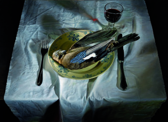 Vogel, ein Eichelhäher, auf Teller, rechts und links das Besteck, dazu ein Weinglas.
