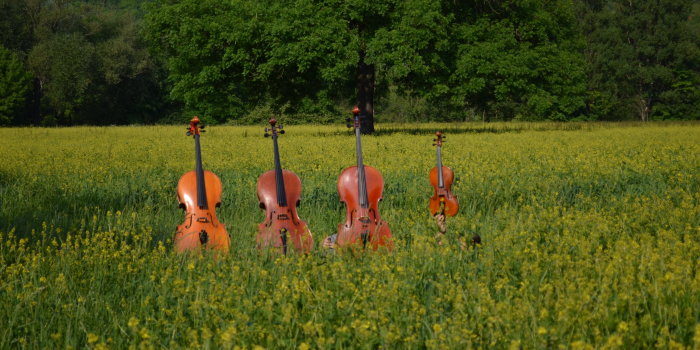 Stimmungsvoll – Das Quartett Vielsaitig Vier Musikinstrumente in Landschaft