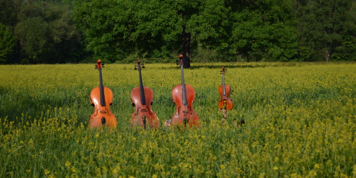 Vier Musikinstrumente in Landschaft