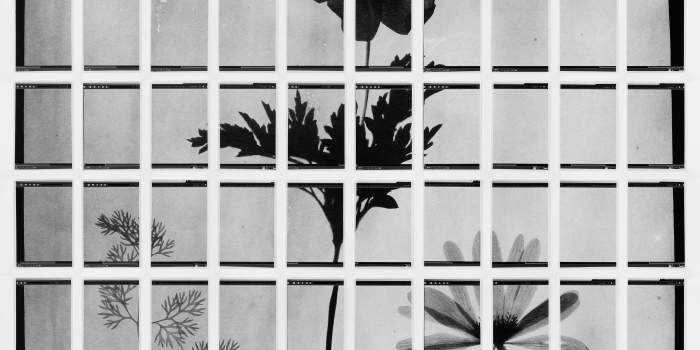 „Sebastian Pütz. Vor einem Bild“: Ausstellungseröffnung in der Kunsthalle Erfurt