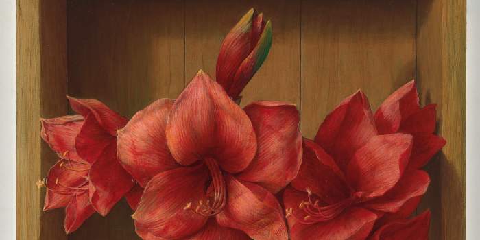 Meisterliche Malerei und Food-Fotografie: Kuratorenführungen in den Kunstmuseen Erfurt am Sonntag