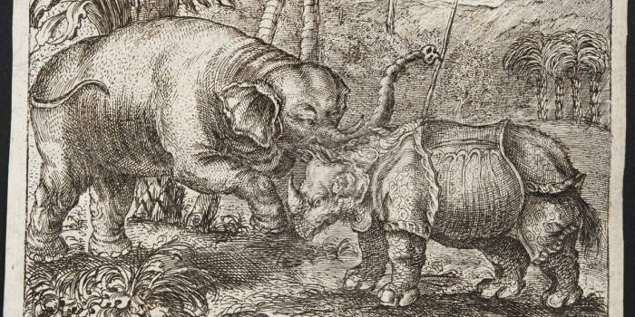 Wochenende der Grafik erlaubt seltene Blicke hinter die Kulissen