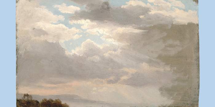 Sonderausstellung „Natur als Kunst“ im Angermuseum endet am Sonntag mit Abschlussführung