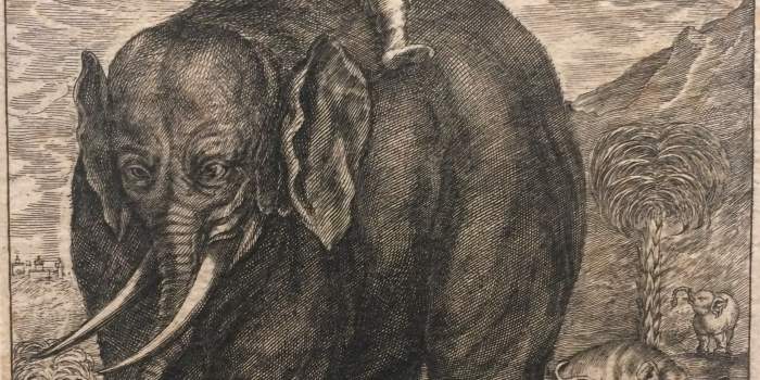 Neue Ausstellung im Grafikkabinett des Angermuseums