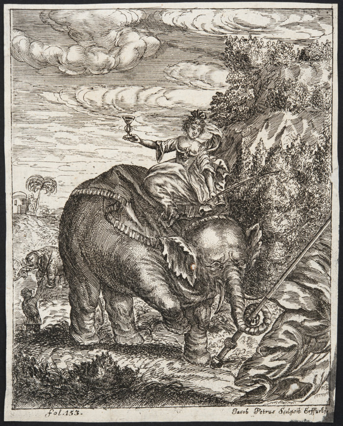 Jacob Petrus: Kupferstich, Blatt aus Georg Petri von Hartenfels „Elephantographia Curiosa“, Erfurt 1715/1723 Kupferstich einer Frau, die mit einem Weinglas in der Hand auf einem Elefanten sitzt