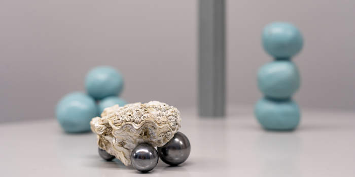 Ausstellung zum Schmucksymposium wird im Angermuseum eröffnet