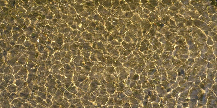 Künstlerführungen in der Galerie Waidspeicher