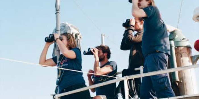 Ausstellende Künstlerinnen und Künstler laden zum Gespräch in die Kunsthalle