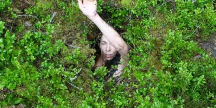 Interner Verweis: Blühstreifen – zwischen Traum und Zaun