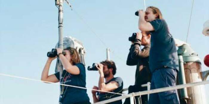 Interner Verweis: Kunstpause in der Ausstellung „Kontinent – Auf der Suche nach Europa“