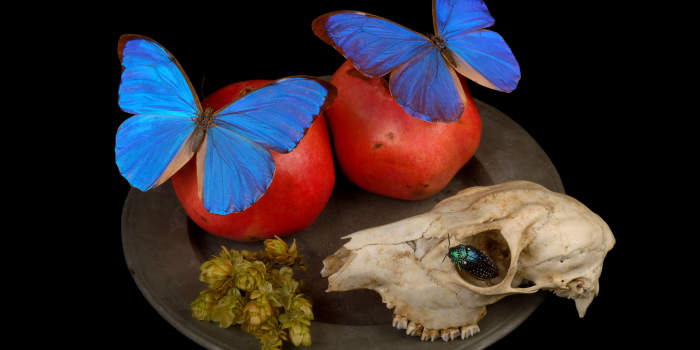 Interner Verweis: Zum Fressen gern. Sebastian Köpcke und Volker Weinhold