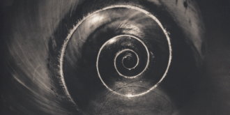 Kunsthalle Erfurt: Führung durch die Ausstellung „Nautilus – Muscheln, Schnecken und Mollusken in der Fotografie der Moderne“