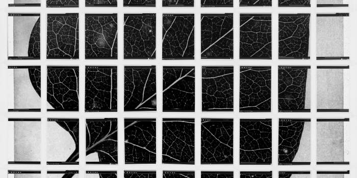 Interner Verweis: Sebastian Pütz: Vor einem Bild