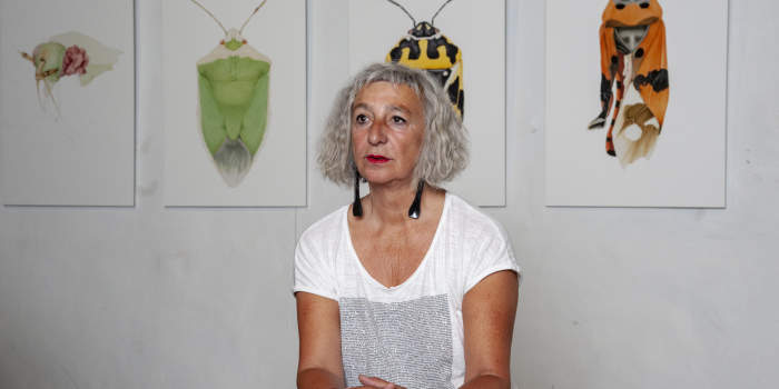 Kuratorenführung mit Adrienne Goehler im Kulturhof zum Güldenen Krönbacken in der ZNE!-Ausstellung