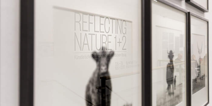 Reflecting Nature #1 – Kunsthalle gratuliert Naturkundemuseum mit eigener Ausstellung