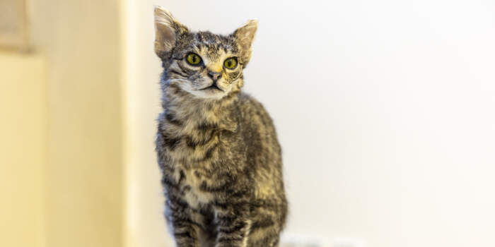 Ausstellung „Reflecting Nature #2“ in der Kunsthalle endet