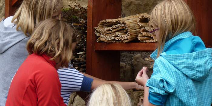 Junge Forscher gesucht: Naturkundemuseum engagiert sich in der Nachwuchsförderung
