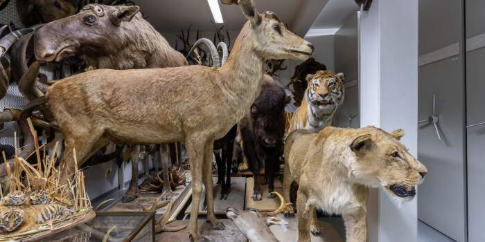 InsideOut – Auf dem Weg zu einem neuen Museumsdepot für Erfurt