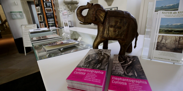 Blick in die Ausstellung „Elephantographia curiosa“