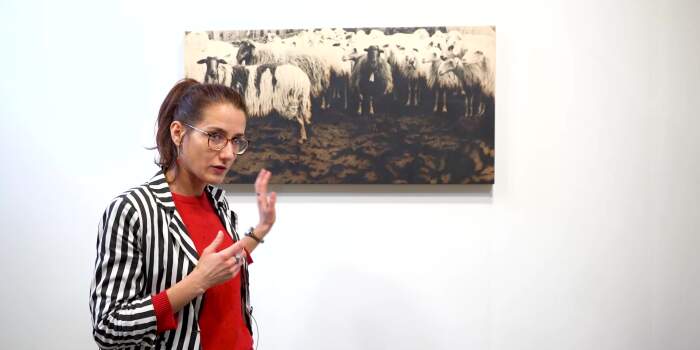 Kultur to go: Schafe vom Ätna zu Gast in Erfurt