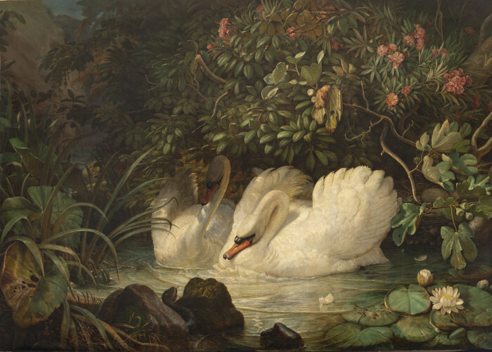 Schwäne verteidigen ihr Nest gegen eine Schlange (1859/60) Gemälde zweier Schwäne, im Vordergrund eine Schlange