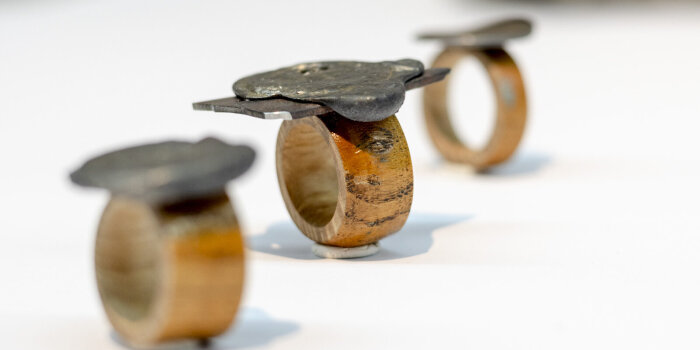 Drei Ringe aus Holz und Metall hintereinander stehend