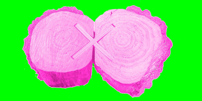 Pinke Holzquerschnitte auf grellgrünem Hintergrund
