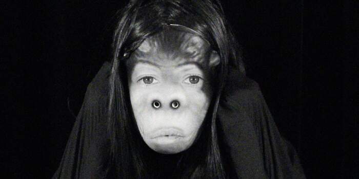 Interner Verweis: Reflecting Nature #2 – Künstlerische Positionen mit naturkundlichem Bezug