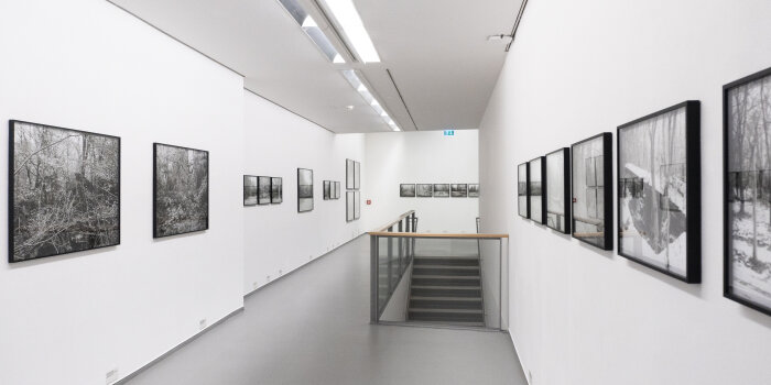 Ein heller Raum mit schwarz weißen Fotografien an der Wand. In der Mitte eine Treppe.