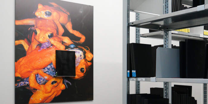 Interner Verweis: Next Generation #1