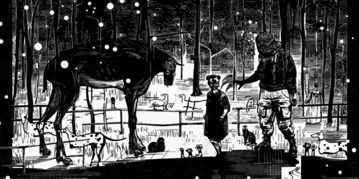 Interner Verweis: bis 31.05.2026: Franca Bartholomäi. Irgendwo ist immer Nacht