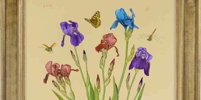 Interner Verweis: Albrecht Tübke: Die Anmut des Realen