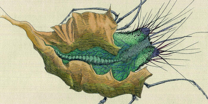 Ausstellung von Ulf Rickmann im Schlossmuseum Molsdorf endet