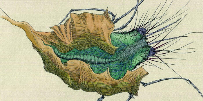 Interner Verweis: Gestrandete Arche. Ulf Rickmann