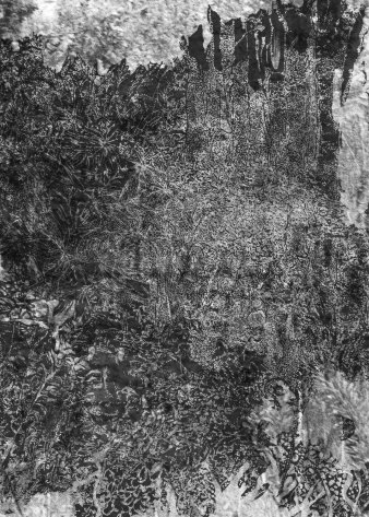 Schwarzweißgrafik von einem dichten Laubwald