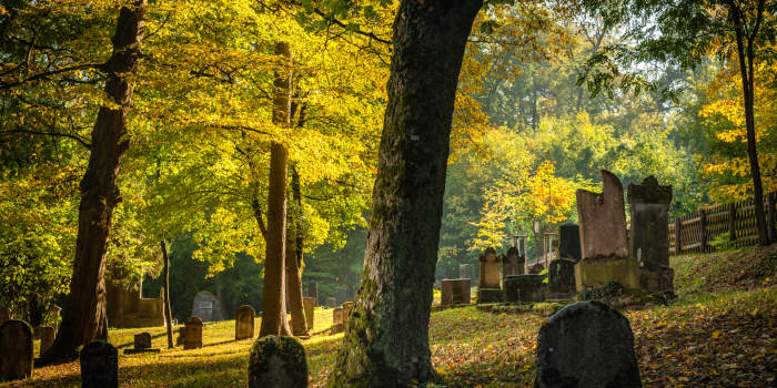 Interner Verweis: StipVisite. Landesstipendiaten für Bildende Kunst 2018