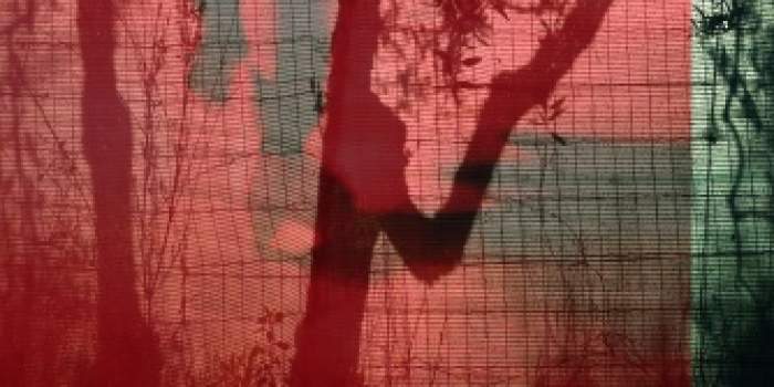 Interner Verweis: Gudrun Wiesmann: Transfer. Retrospektive