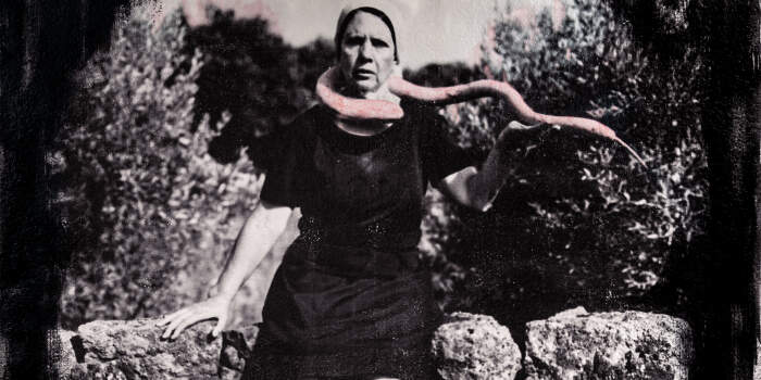 Galerie Waidspeicher thematisiert schwindende Artenvielfalt